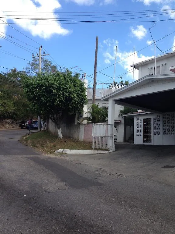 مونتيغو باي The View Guest House  مونتيغو باي