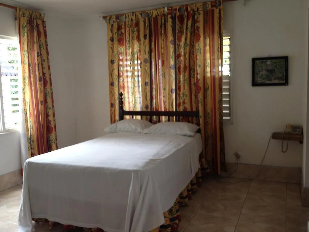 مونتيغو باي The View Guest House جامايكا